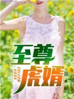 虎夫伍北赵念夏怎么样了