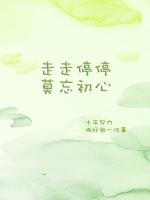战婿医仙
