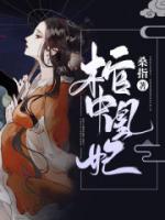 风沧澜和宗正昱免费阅读