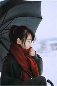《重生八零，退婚嫁给隔壁糙汉》林映 仲青城