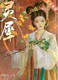 灵犀指令集