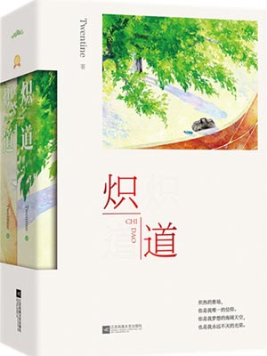 《炽道》小说