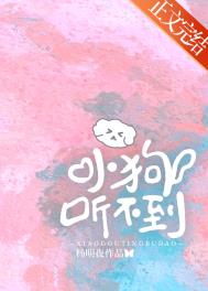 杨明夜作品